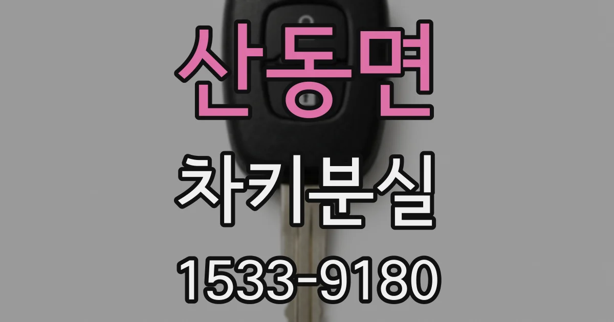 산동면 차키분실