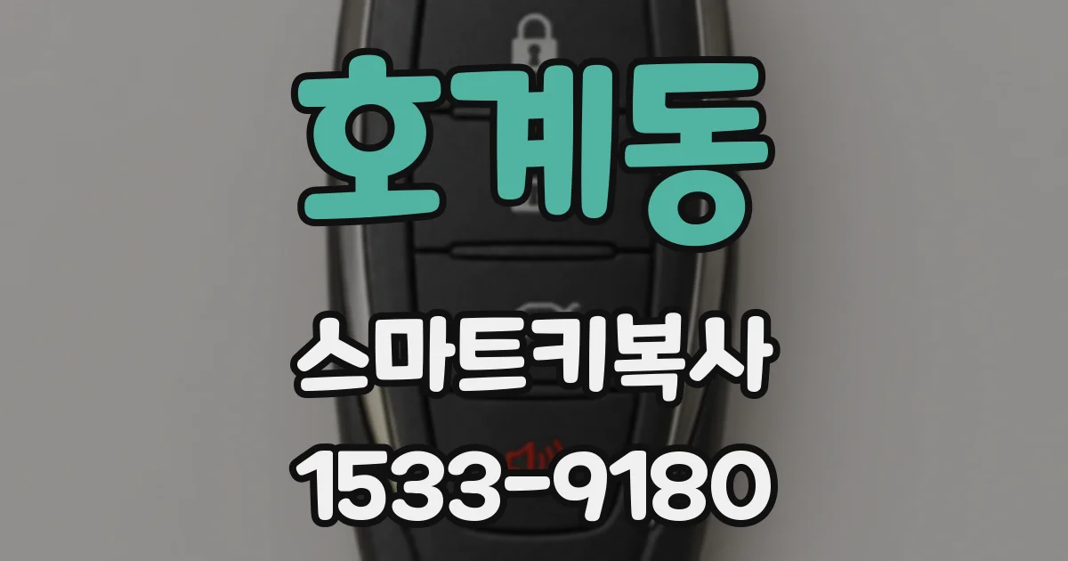 호계동 스마트키복사