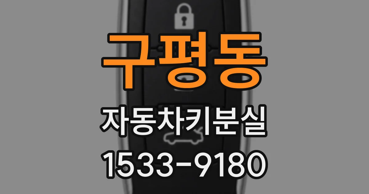 구평동 자동차키분실