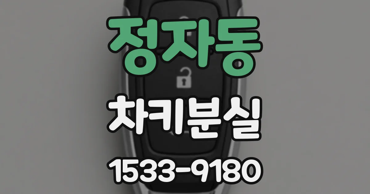 정자동 차키분실