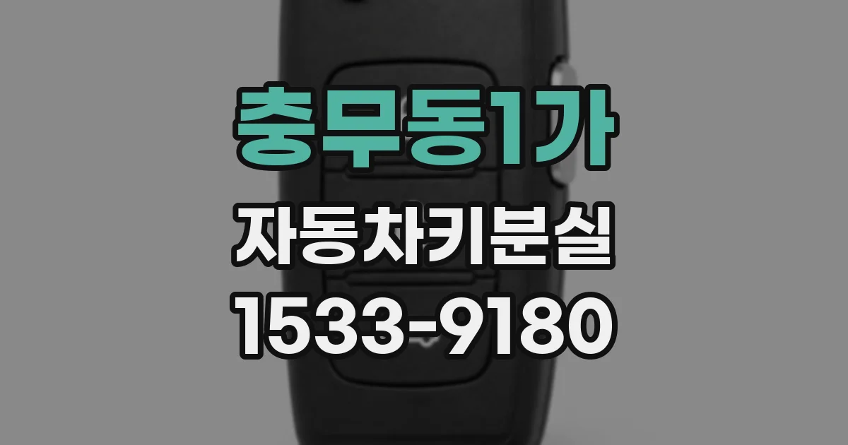 충무동1가 자동차키분실