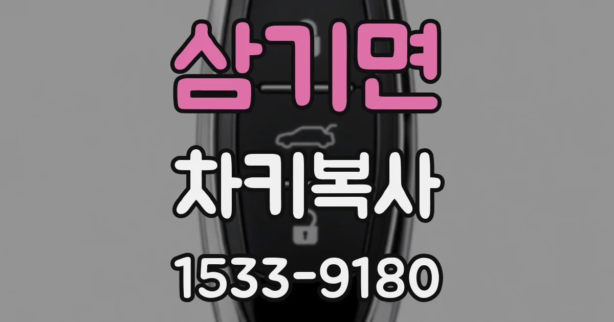 삼기면 차키복사