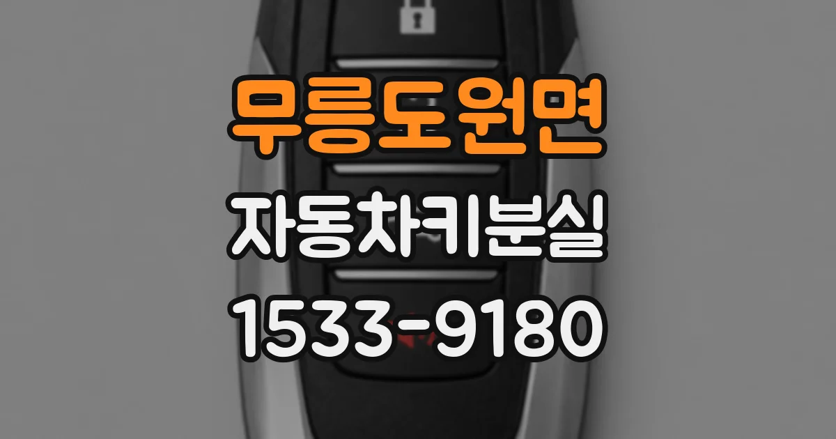 무릉도원면 자동차키분실