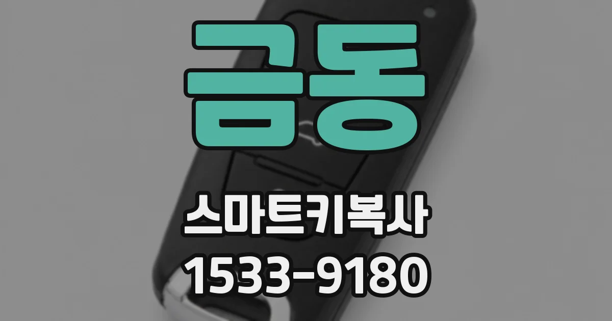 금동 스마트키복사