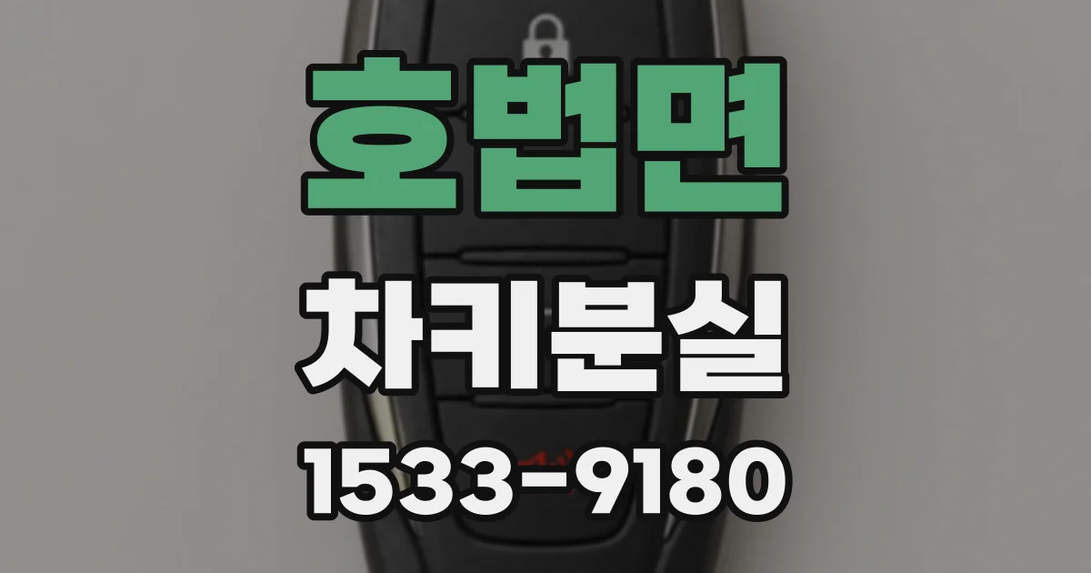 호법면 차키분실