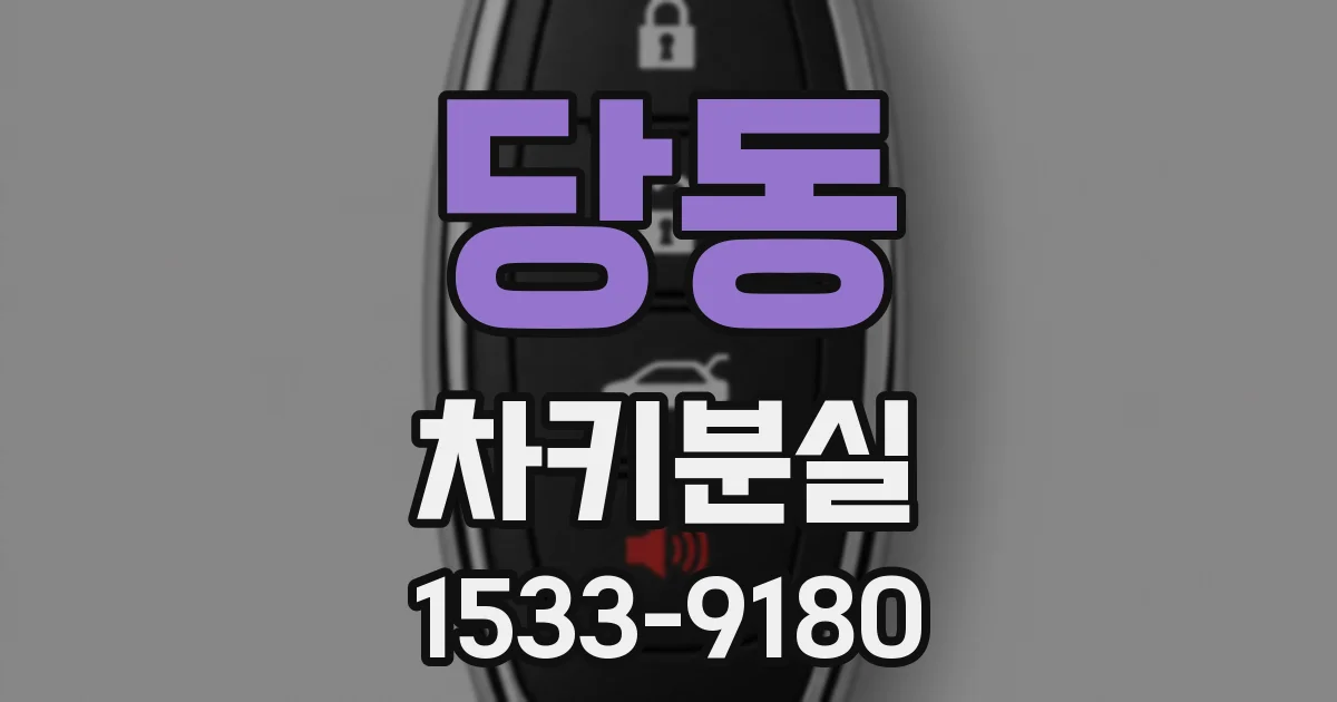 당동 차키분실
