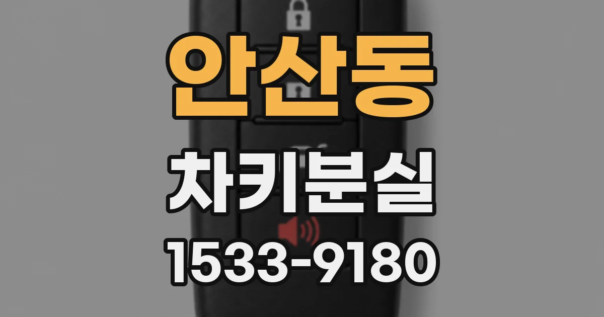 안산동 차키분실