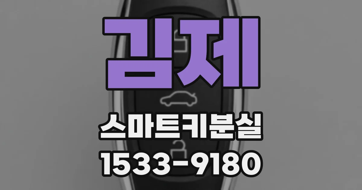 김제 스마트키분실