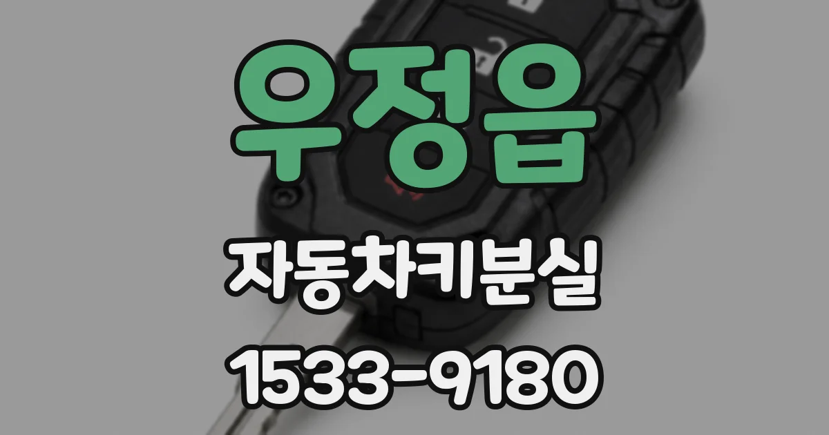 우정읍 자동차키분실