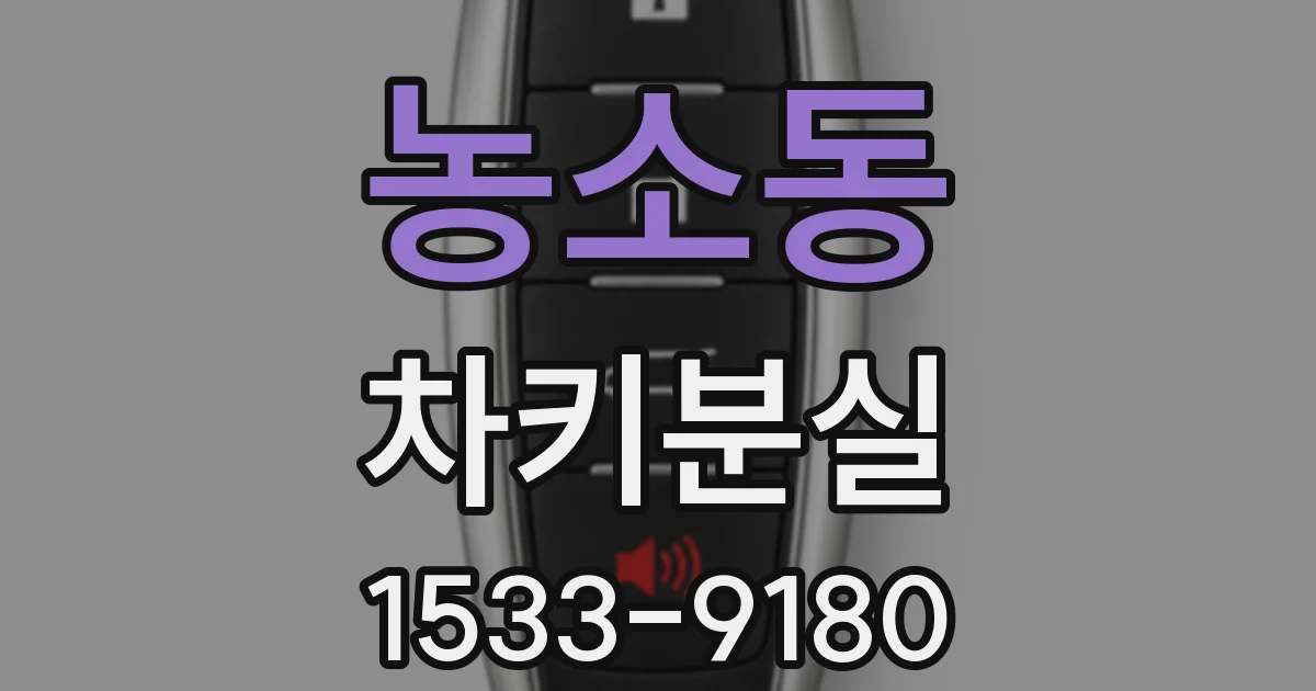 농소동 차키분실
