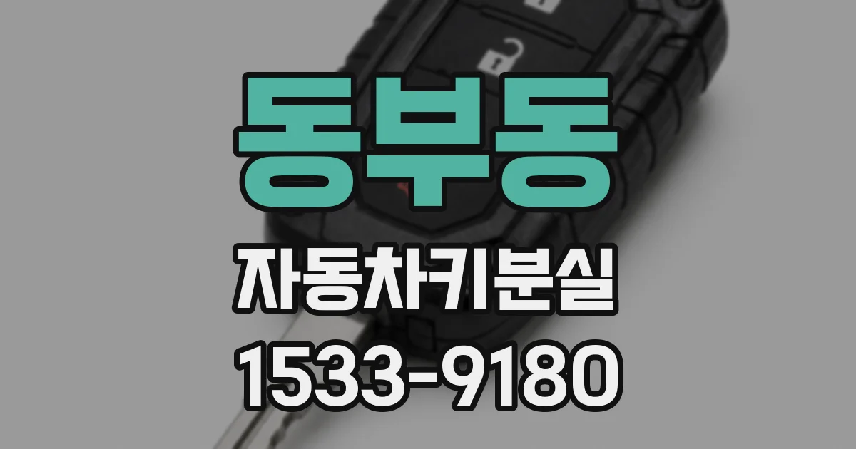 동부동 자동차키분실