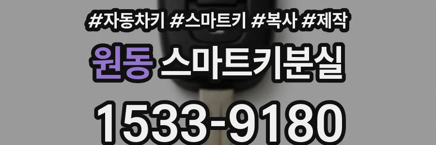 원동 스마트키분실