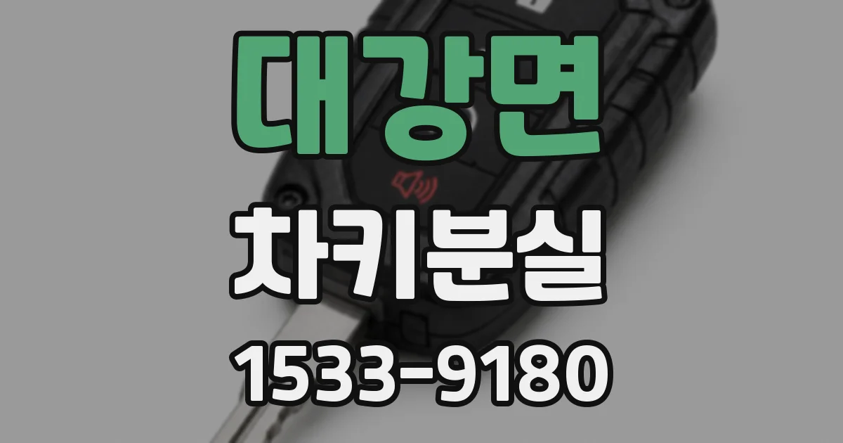 대강면 차키분실