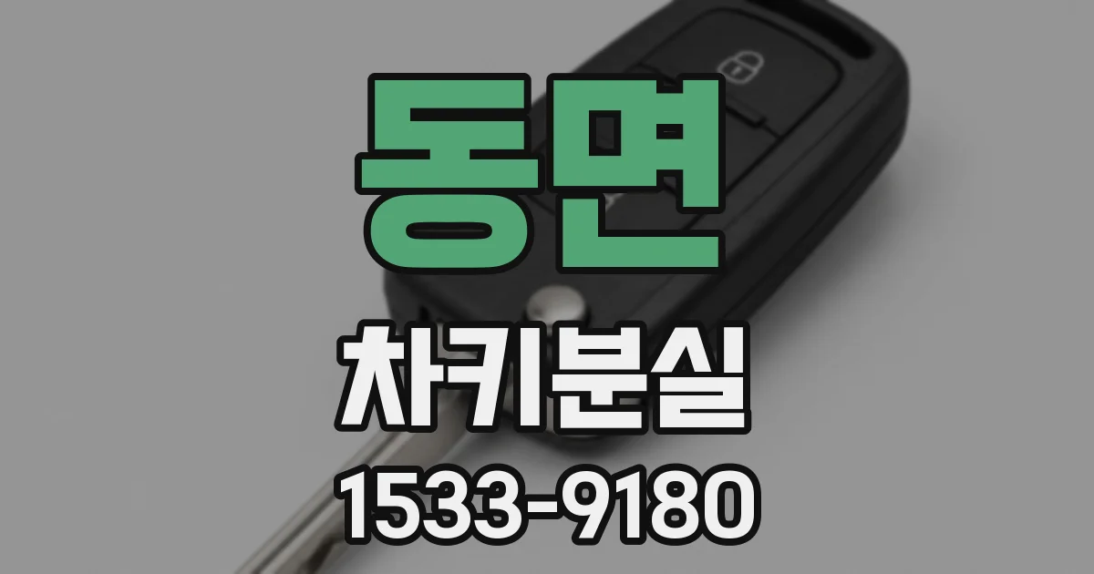 동면 차키분실