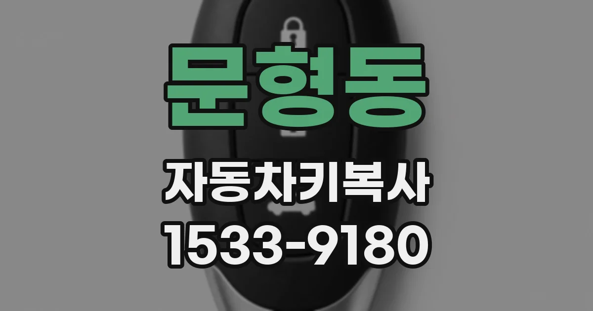 문형동 자동차키복사