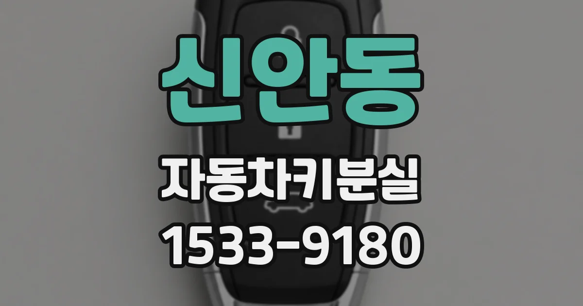 신안동 자동차키분실