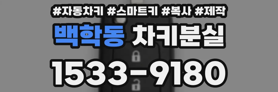 백학동 차키분실