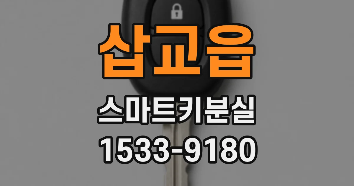 삽교읍 스마트키분실