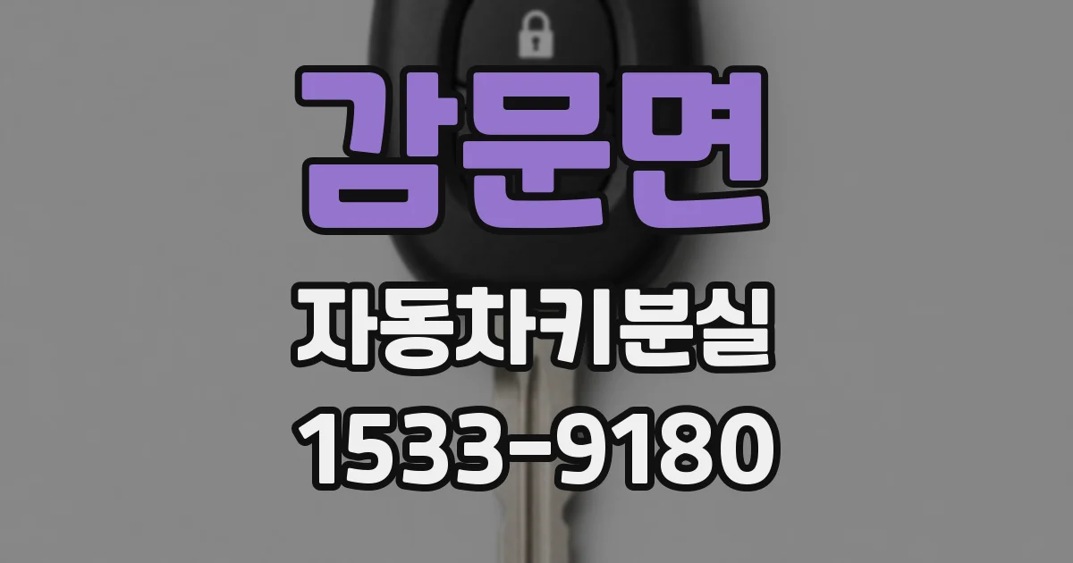 감문면 자동차키분실