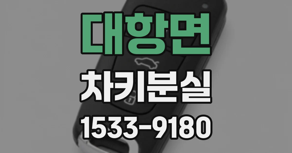 대항면 차키분실