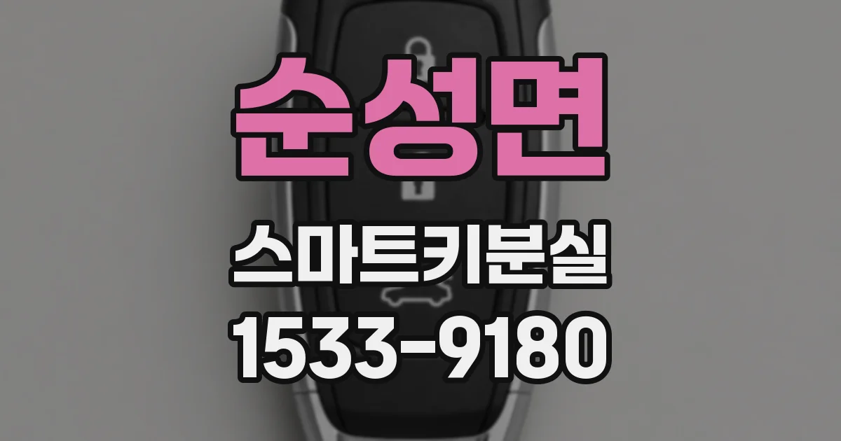 순성면 스마트키분실