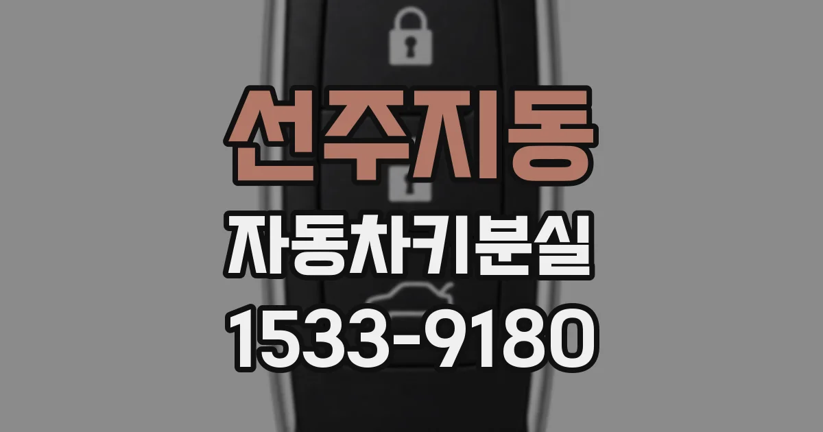 선주지동 자동차키분실