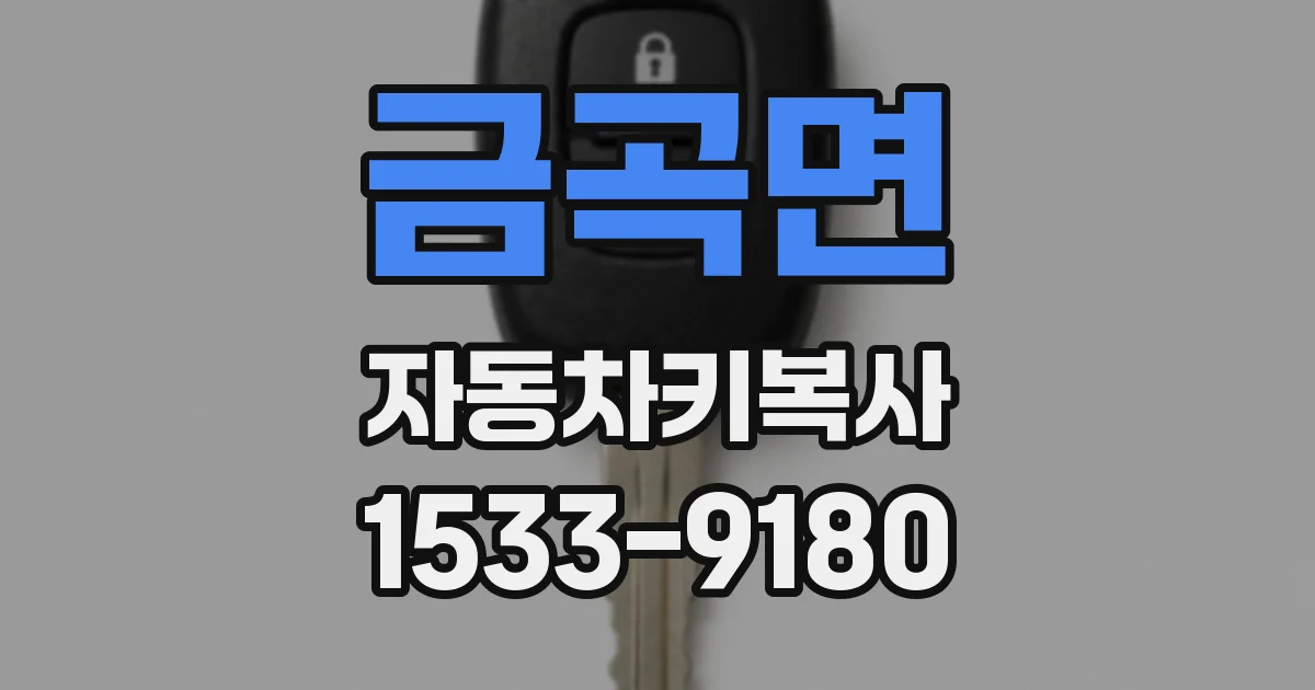 금곡면 자동차키복사
