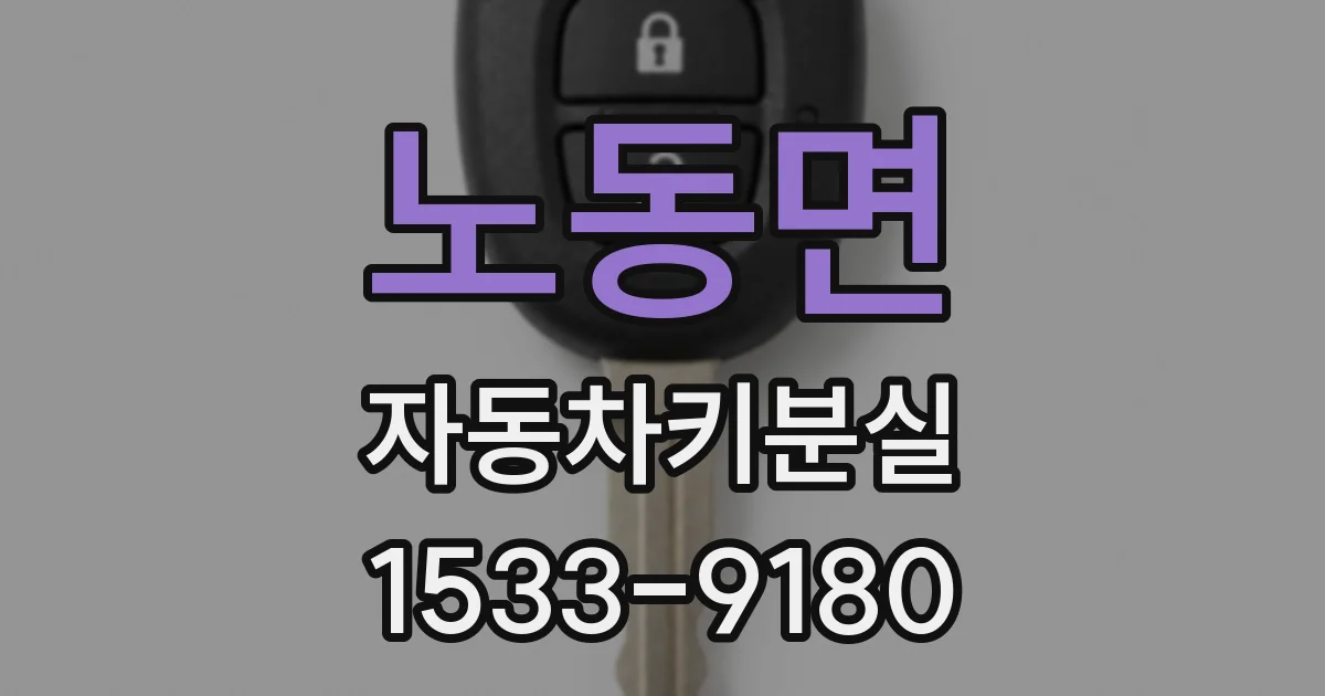 노동면 자동차키분실
