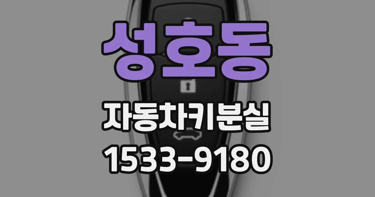 성호동 자동차키분실