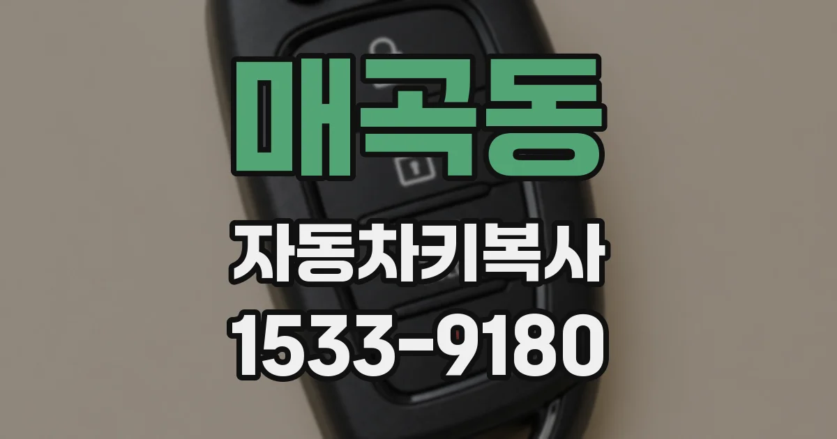 매곡동 자동차키복사