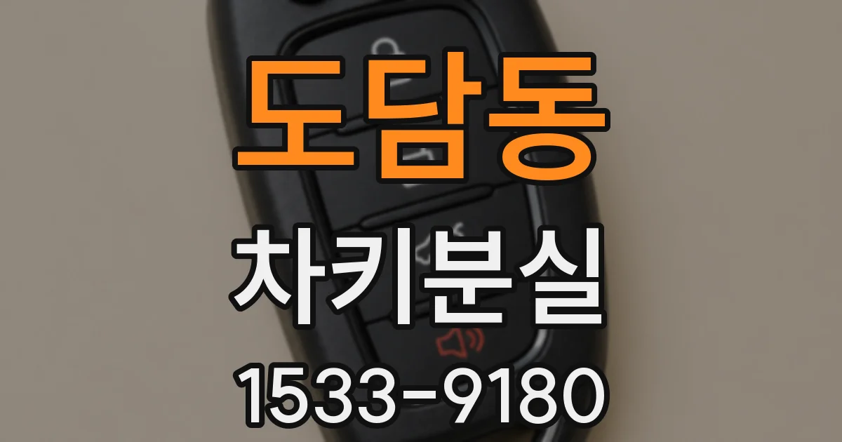 도담동 차키분실