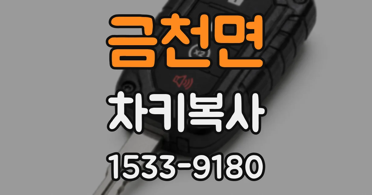 금천면 차키복사