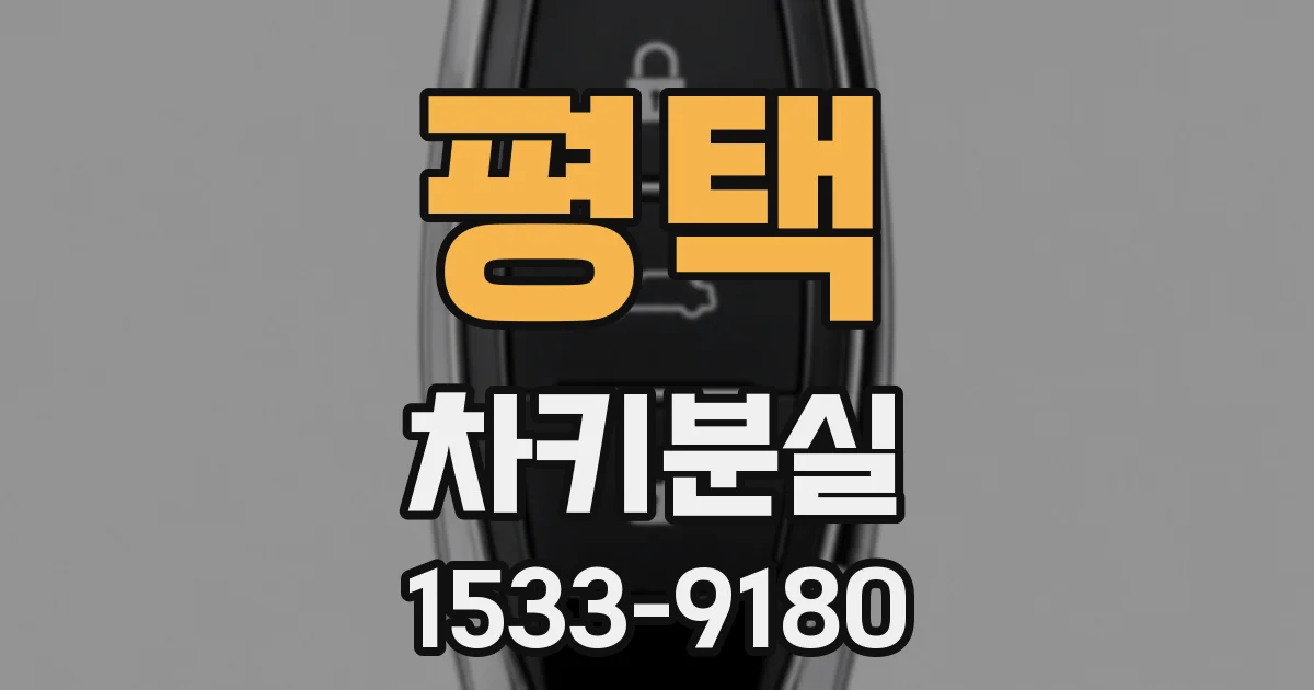 평택 차키분실