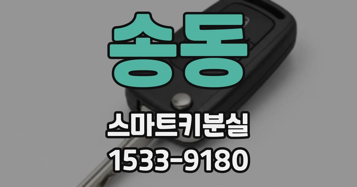송동 스마트키분실