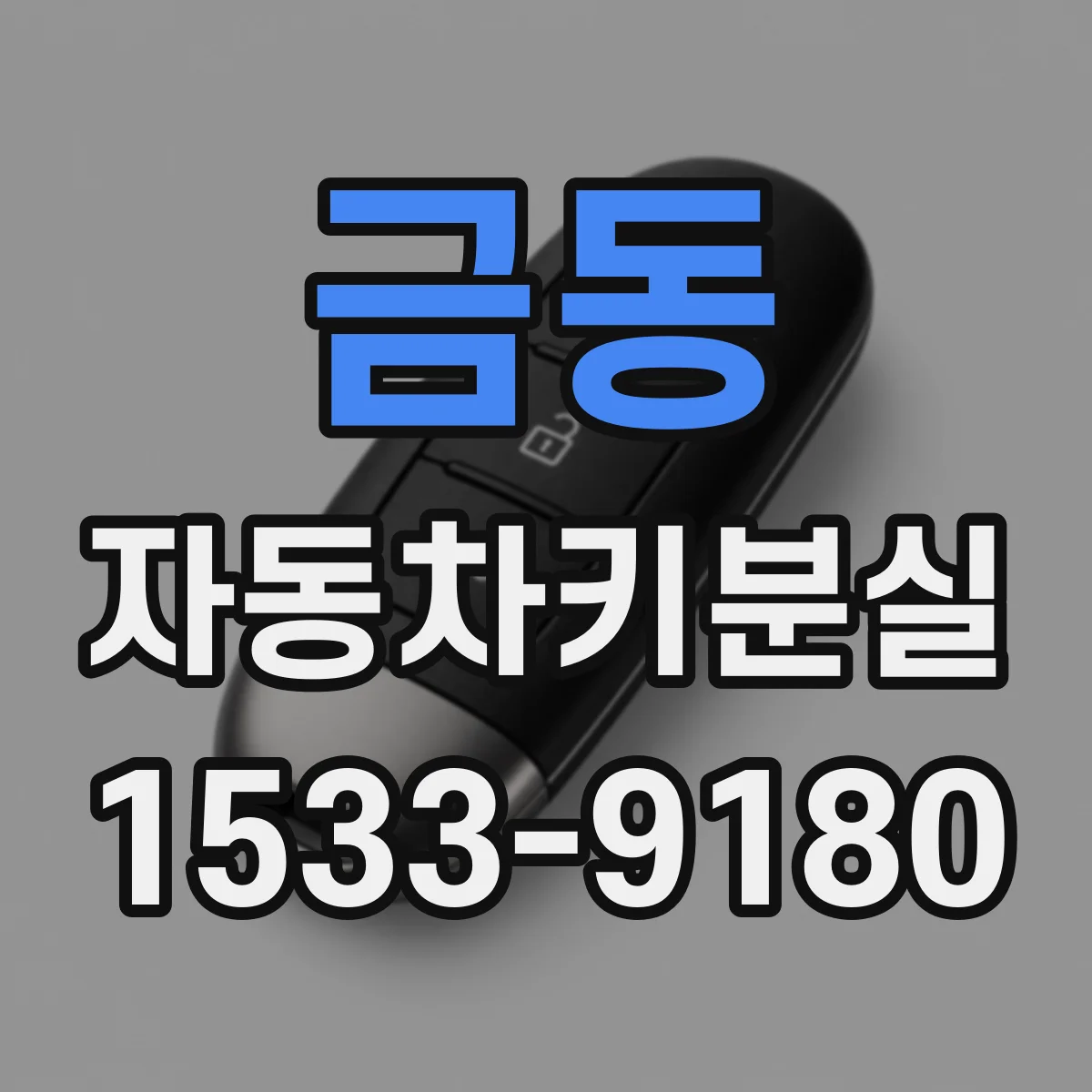 금동 자동차키분실