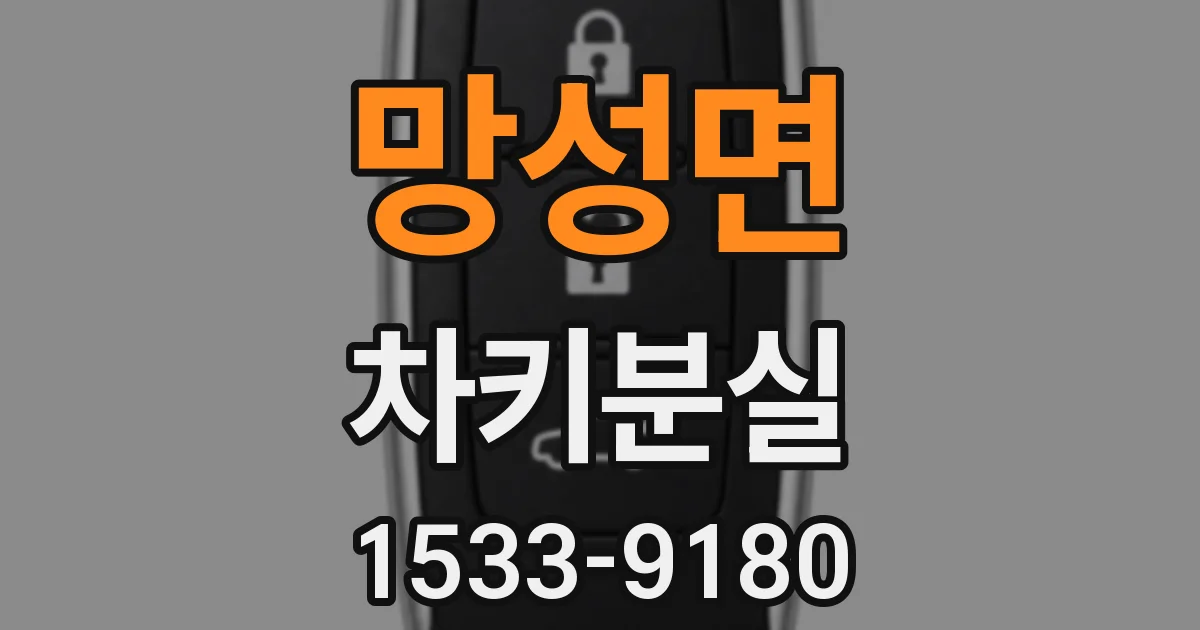 망성면 차키분실