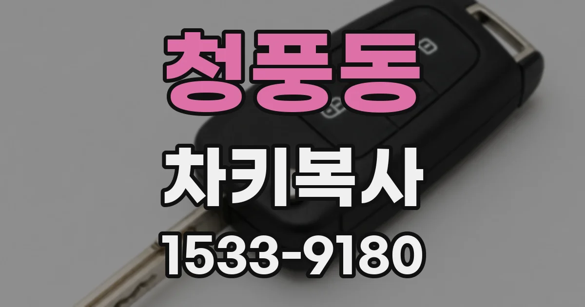 청풍동 차키복사