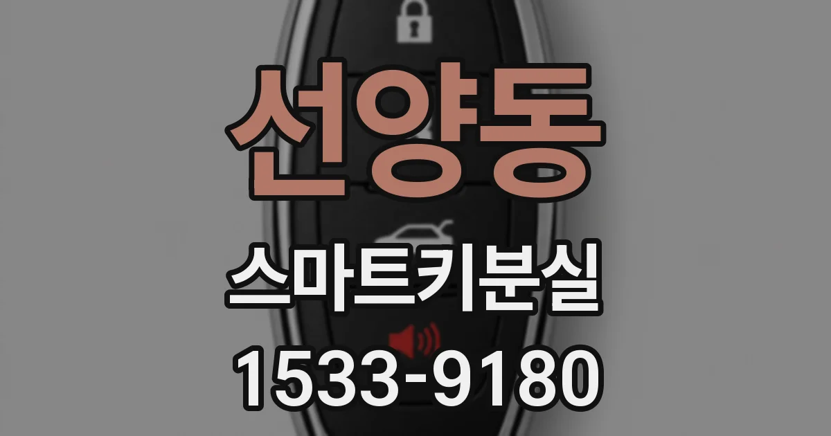 선양동 스마트키분실