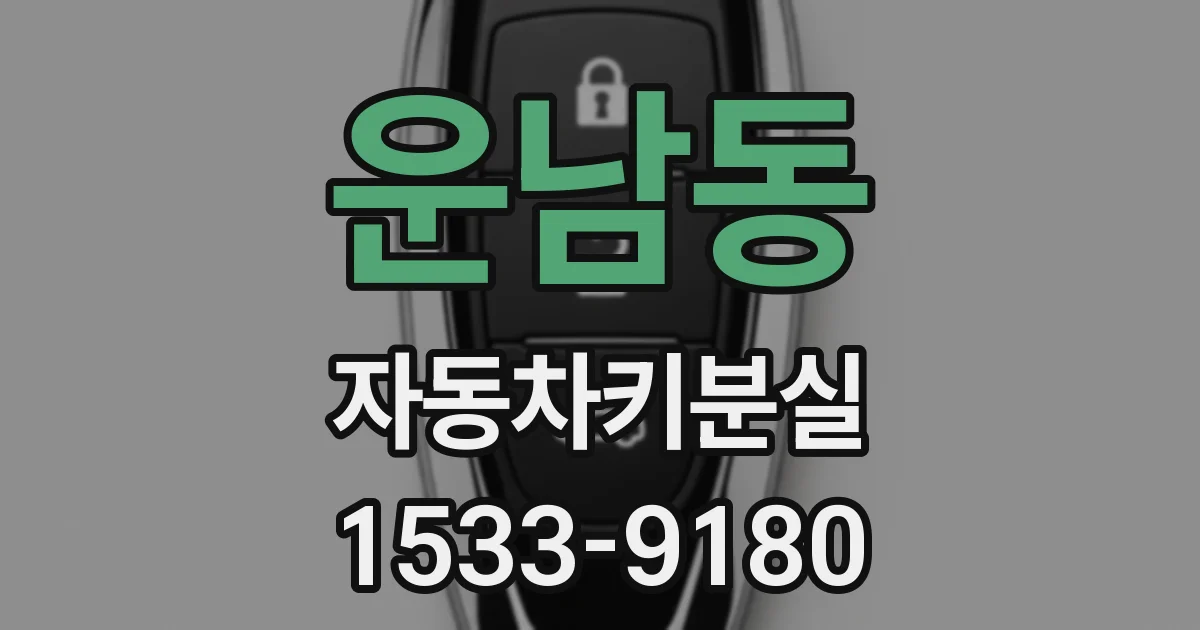 운남동 자동차키분실