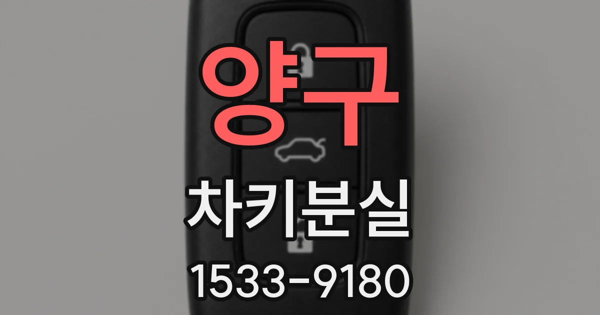 양구 차키분실