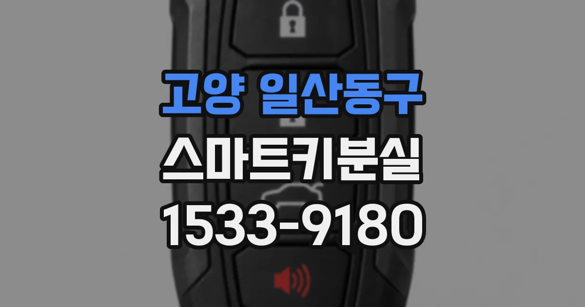 고양 일산동구 스마트키분실