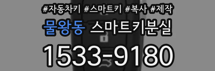 물왕동 스마트키분실