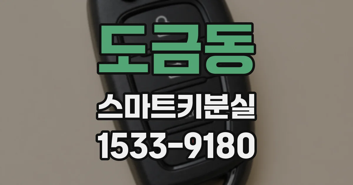 도금동 스마트키분실