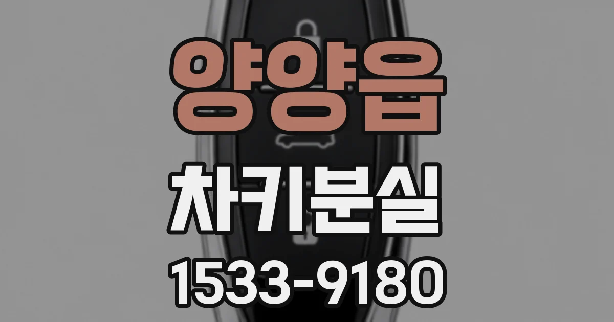 양양읍 차키분실