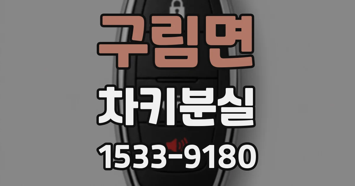 구림면 차키분실
