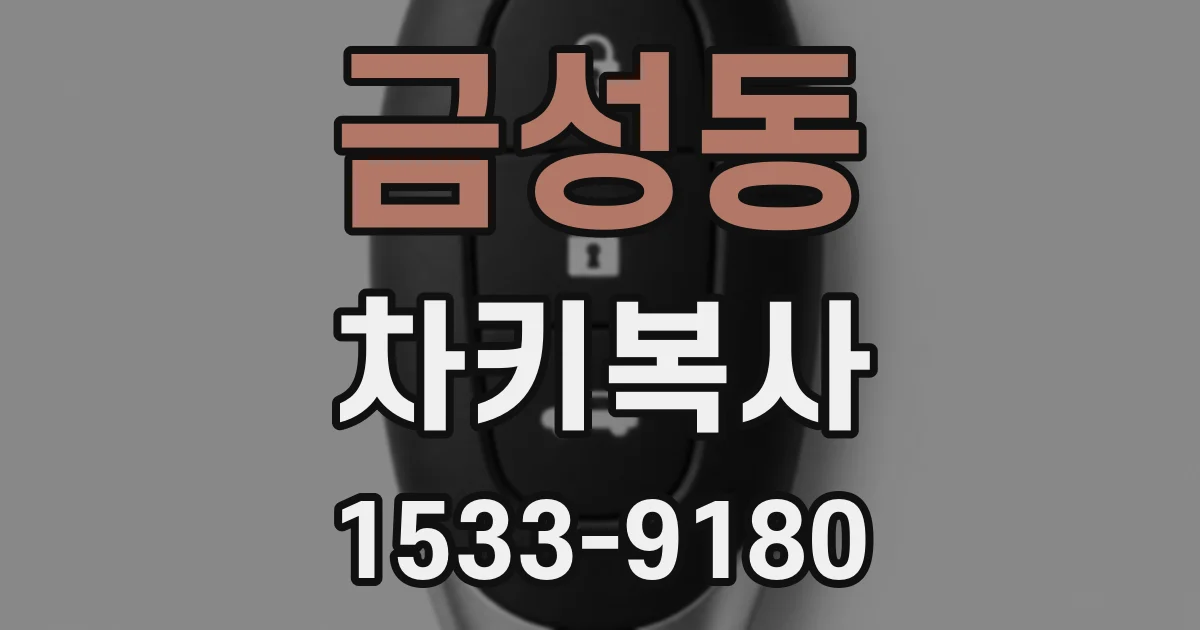 금성동 차키복사