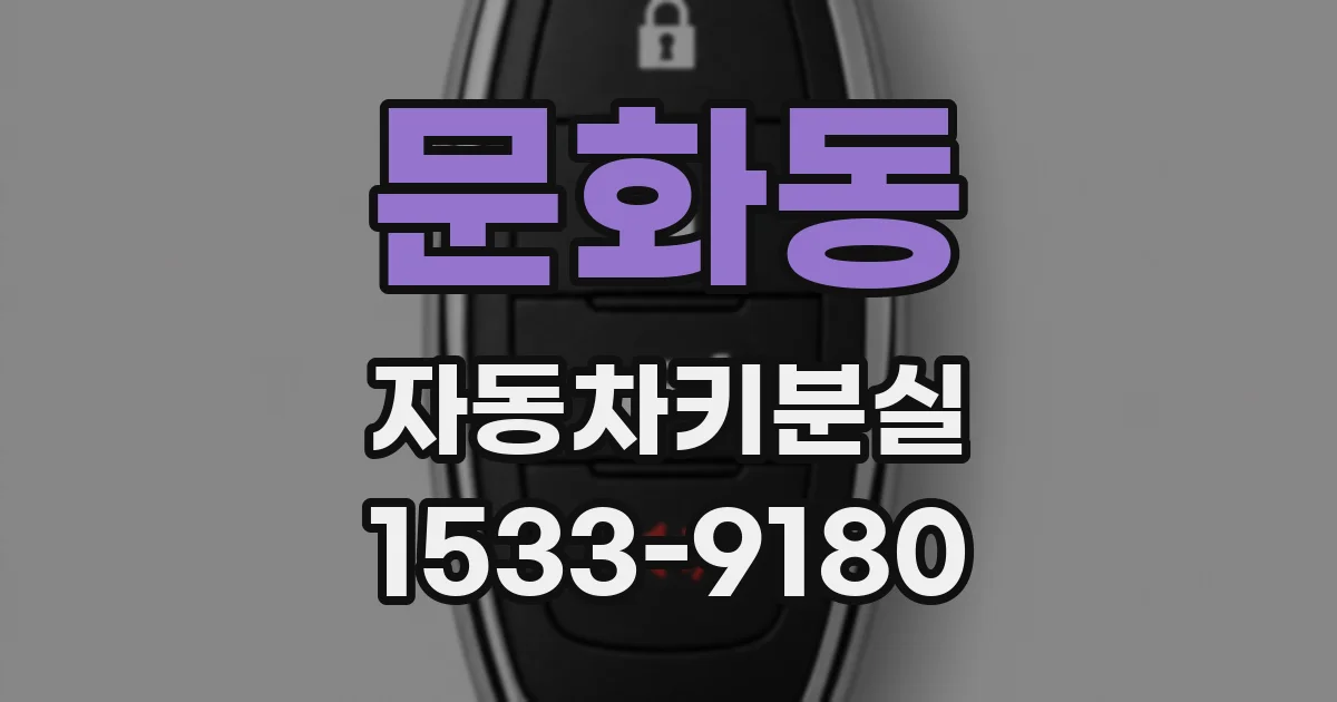 문화동 자동차키분실