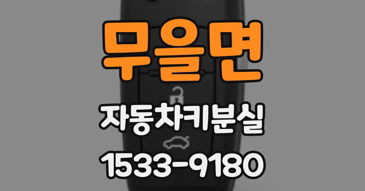 무을면 자동차키분실
