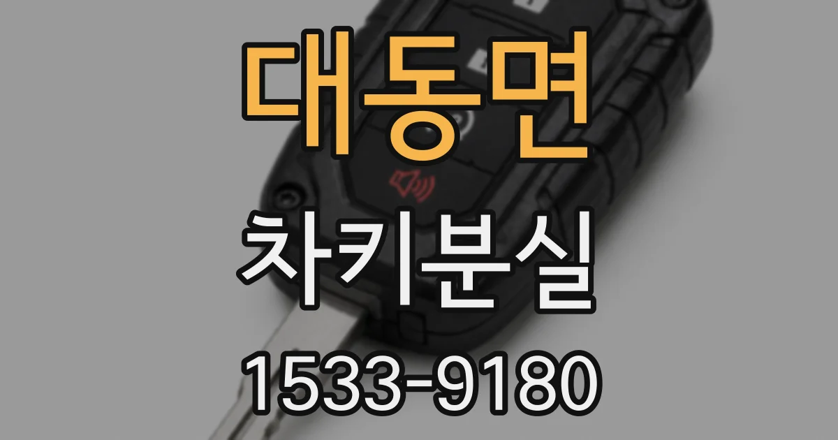 대동면 차키분실