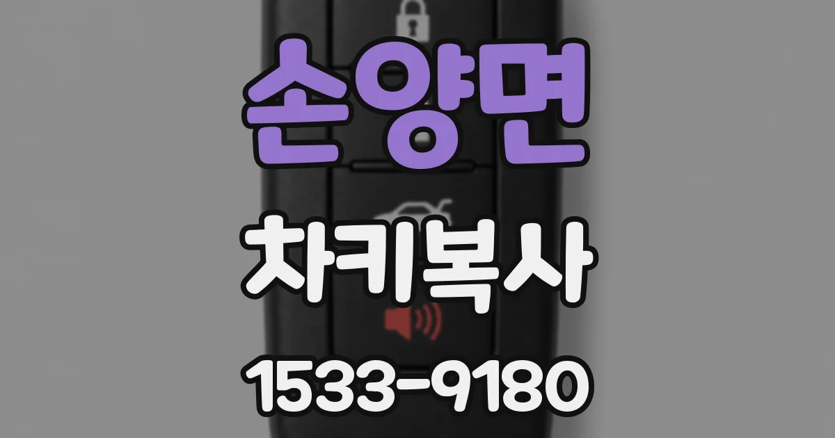 손양면 차키복사